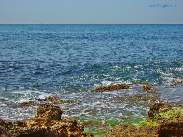 10-06.061.2 - Buscandola en el mar ,2 - junio 2010. Naturaleza Color (Digital)