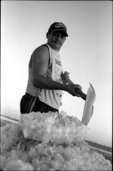 De la serie: Venezuela Cotidiana Fotoperiodismo y documental Blanco y Negro (Química)