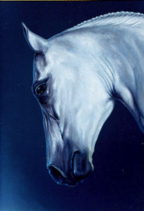 Caballo blanco