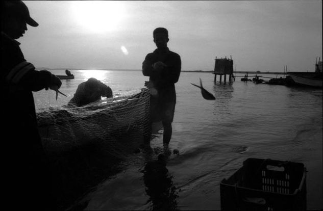 De la serie: Venezuela Cotidiana Fotoperiodismo y documental Blanco y Negro (Química)