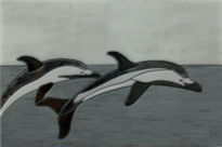 Delfines.