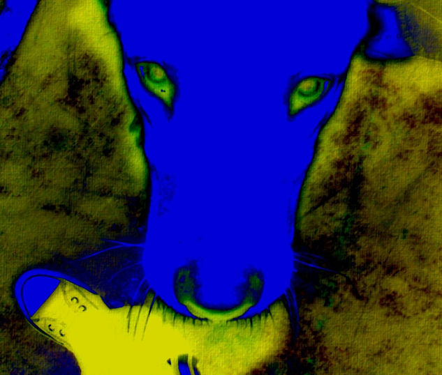 perro azul Otras temáticas Color (Digital)