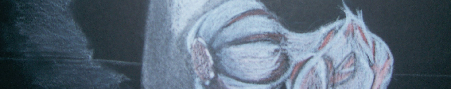 Imagen de portada