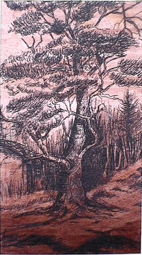 El arbol