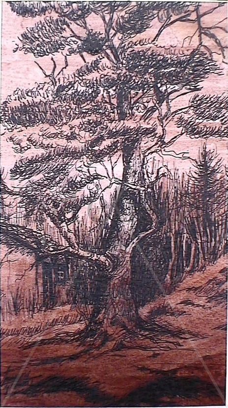 El arbol