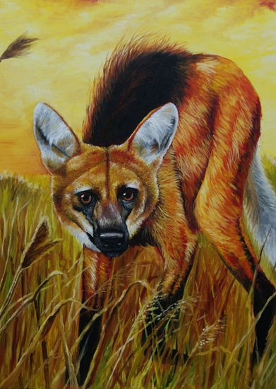 Lobo de crines Oil Canvas Animals