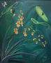 Orquideas