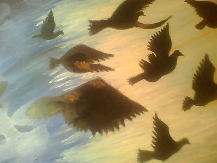 Vuelo