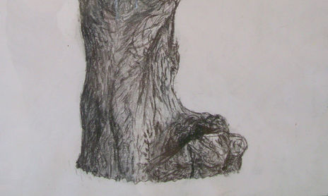 Dibujos