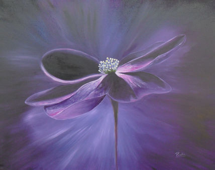 Flor Galactica