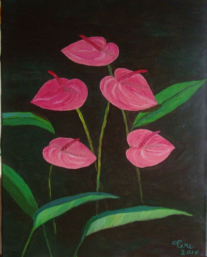 Calas rosadas