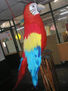 Guacamaya