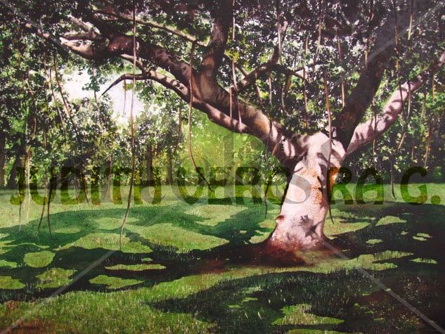 El Olivar Watercolour Card Landscaping