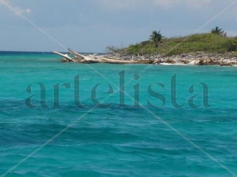 ''Mar caribe''