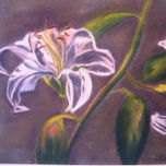 PASTEL thumbnail 2