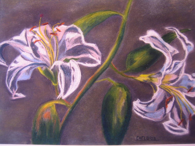 FLORES