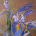 PASTEL thumbnail 1