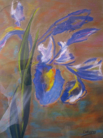 Flor lila
