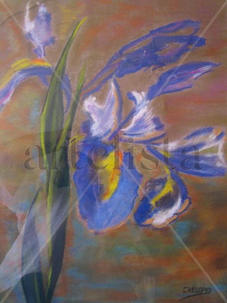 Flor lila