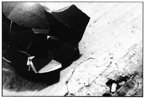 De la serie: Esperando a Sofia