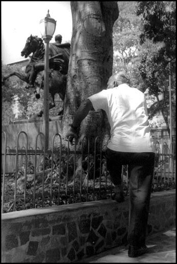 De la serie: Día de plaza Fotoperiodismo y documental Blanco y Negro (Química)