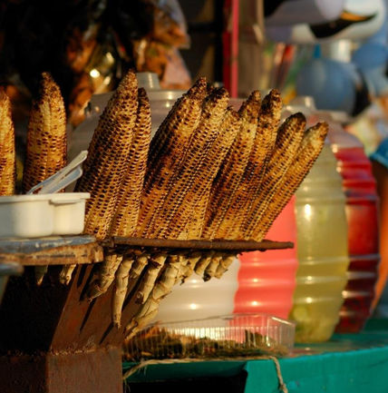 Elotes y Aguas Frescas