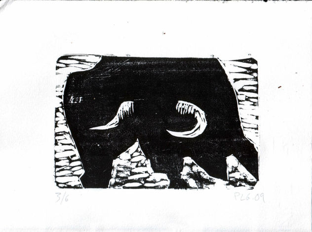 toro bravo.