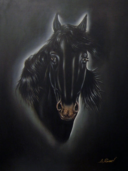 caballo Oil Canvas