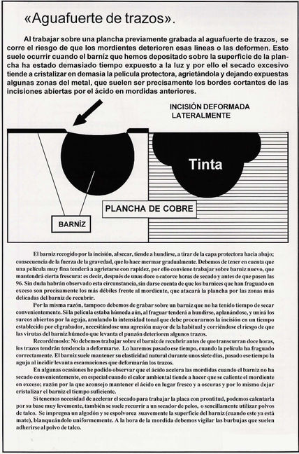 Los barnices