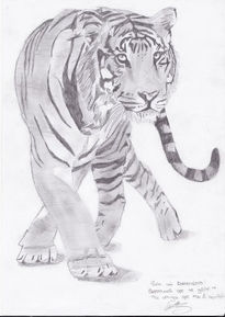 Tigre