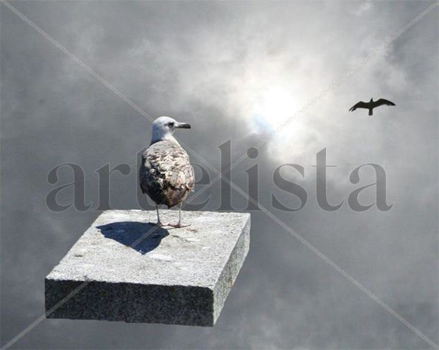 -¿Porqué dirá que yo no se volar?. 