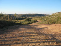 Camino sierras adentro