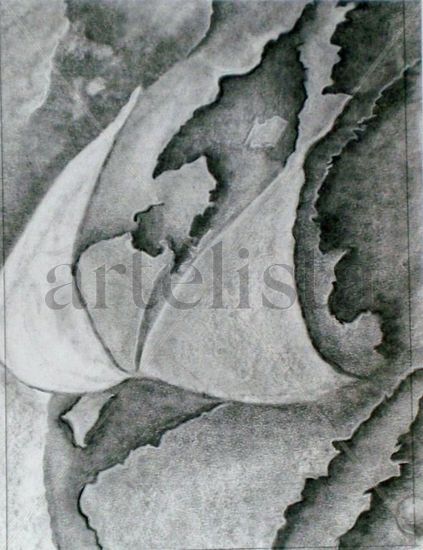 De la serie Fragmentos Charcoal