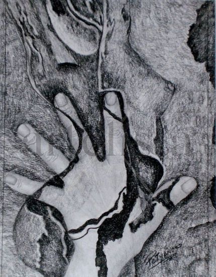 De la serie Fragmentos Charcoal