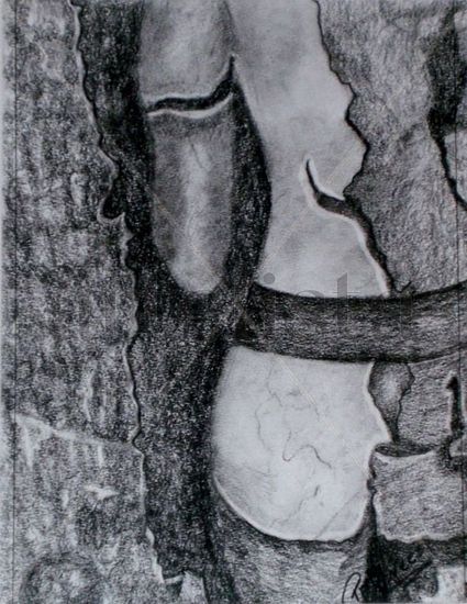 De la serie Fragmentos Charcoal