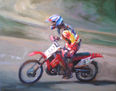 Motocross II