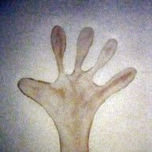 colección 2010 thumbnail 1