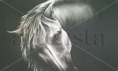 Coleccion Caballos 2009-2010