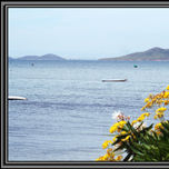 El MAR thumbnail 2