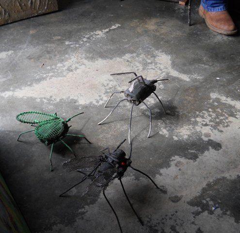 invasion