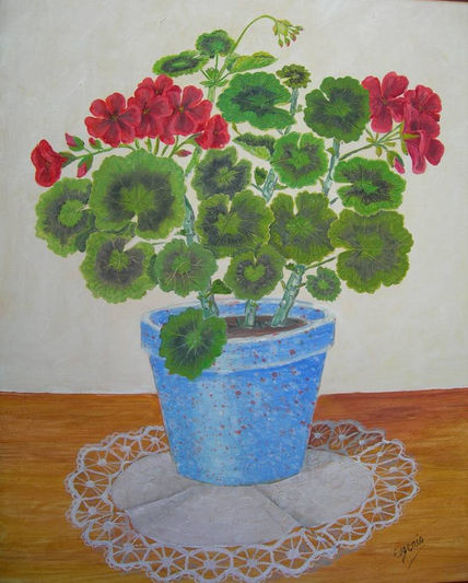Geranio rojo