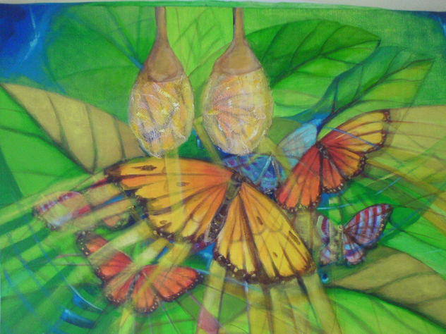 mariposas de mi vida