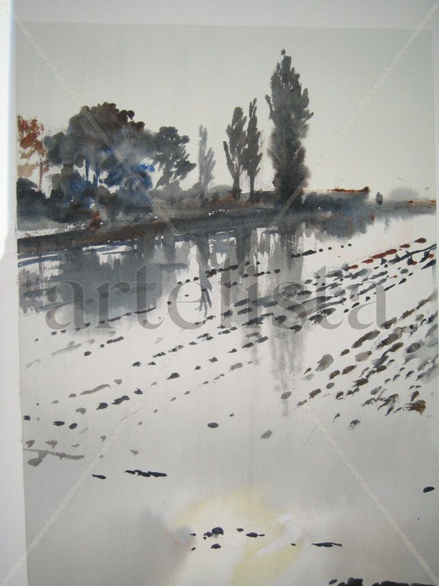 Reflejos