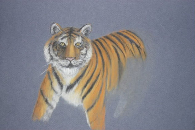 Tigre sin pata Pastel Papel Animales