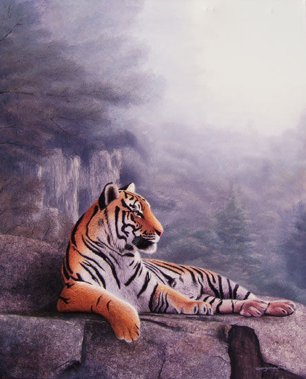 El acantilado del  tigre Oil Canvas Animals