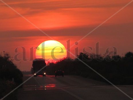 Rojos