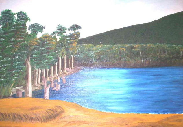 Conguillio Oil Canvas