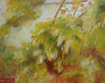 Otoño3, Serie Naturaleza