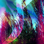 Serie Ilusf thumbnail 2