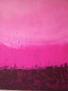 la vie en rose